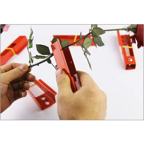 GALOZZOIT Effeuilleuse De Feuilles De Rose, Pince à Dénuder Et à Dénuder En Forme De Rose, Outillage De Jardin, Pour Fleurs Et Fleurs – Image 4